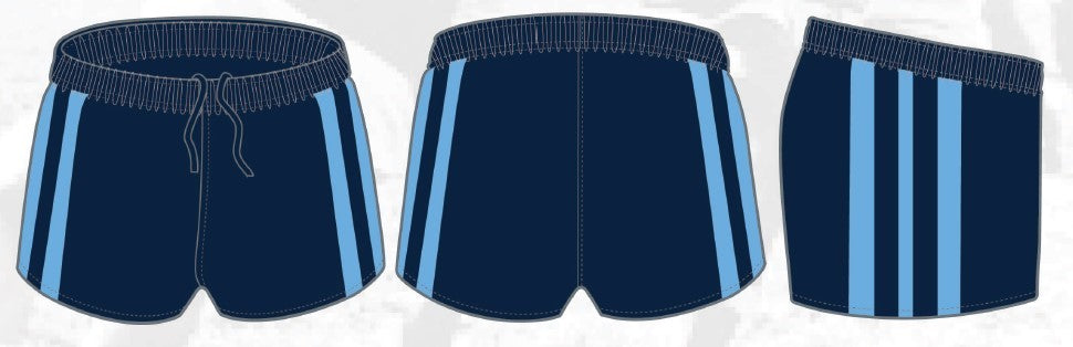 New South Wales Blues Supporter Shorts