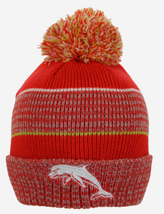 Dolphins Beanie [FLV:Blitz]