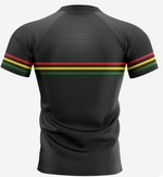 Load image into Gallery viewer, Penrith Panthers Supporter Jersey [SZ:06]
