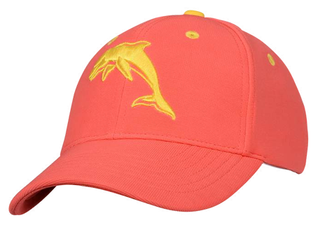 Dolphins Cap