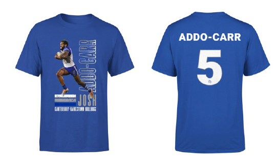 Canterbury Bulldogs Players Tee