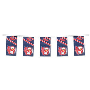 Sydney Roosters Team Bunting Flag