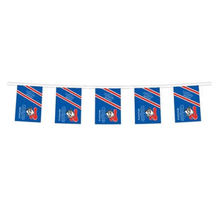 Newcastle Knights Team Bunting Flag